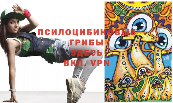 2c-b Дмитровск