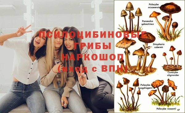 мет Дмитров