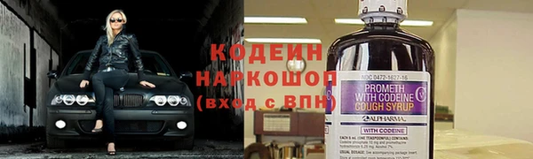 мет Дмитров