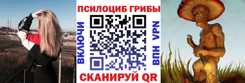 Псилоцибиновые грибы ЛСД  наркошоп  Новосибирск 